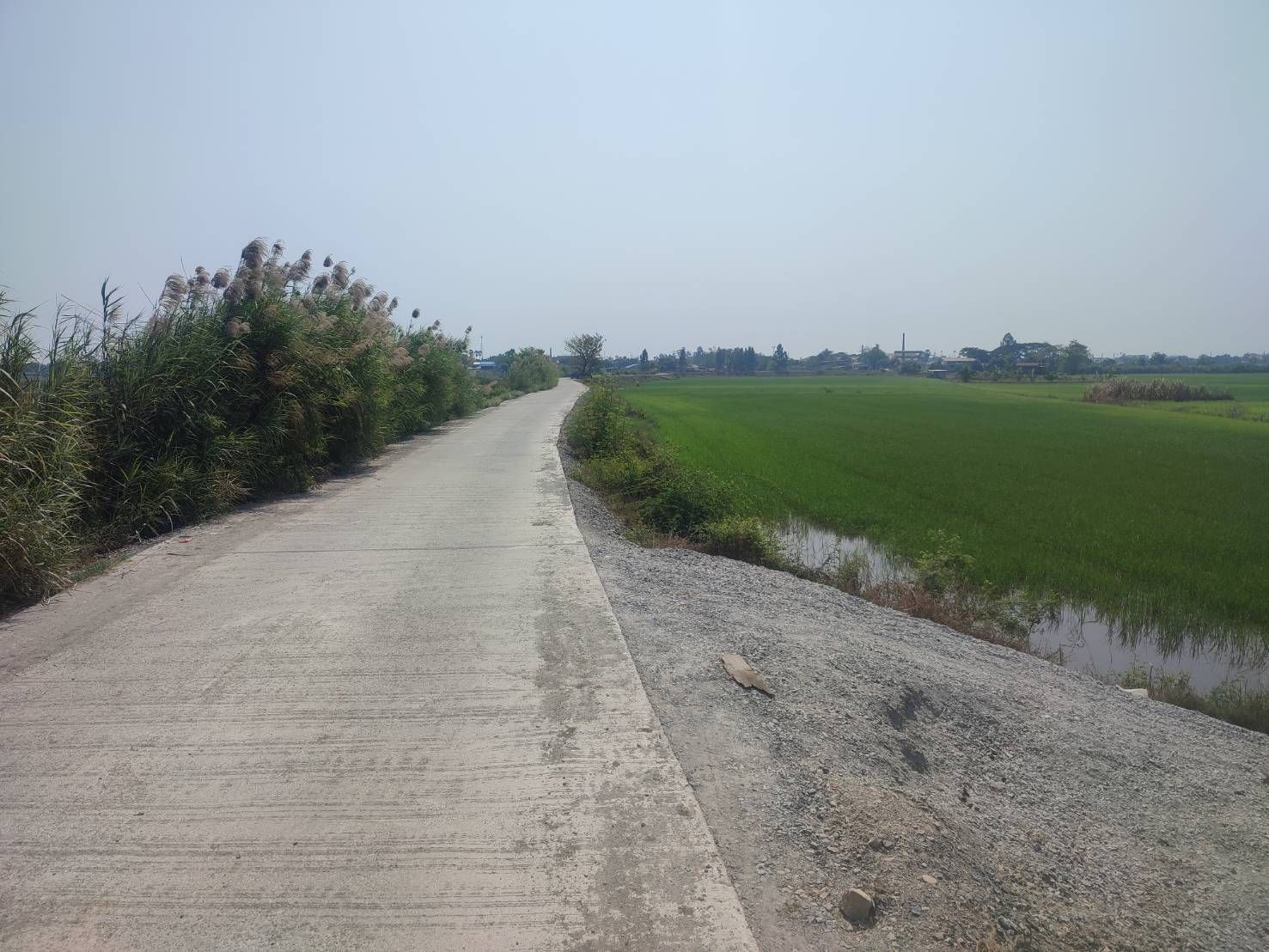 ขายที่ดินสุพรรณบุรี อำเภอสองพี่น้อง ที่ดินสวย 6 ไร่ อ.สองพี่น้อง จ.สุพรรณบุรี