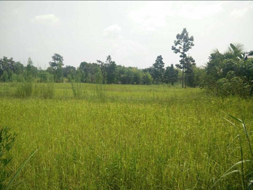 ที่ดินริมน้ำสิรินธร จังหวัด อุบลราชธานี 40 ไร่