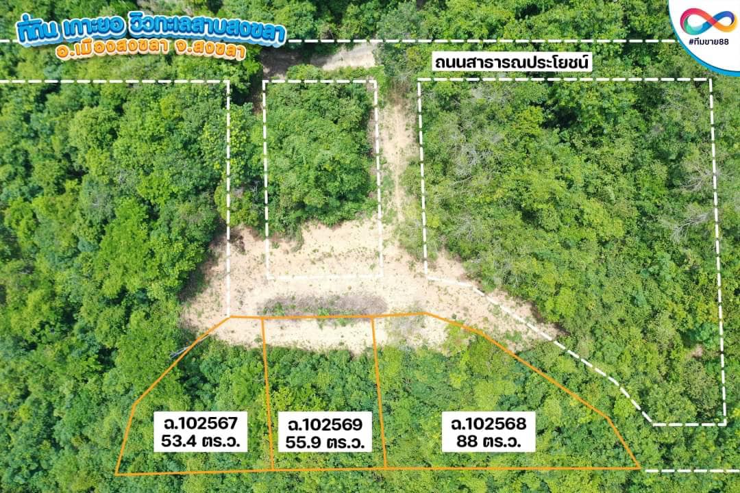 ขายที่ดินสงขลา เมืองสงขลา 53.4ตารางวา