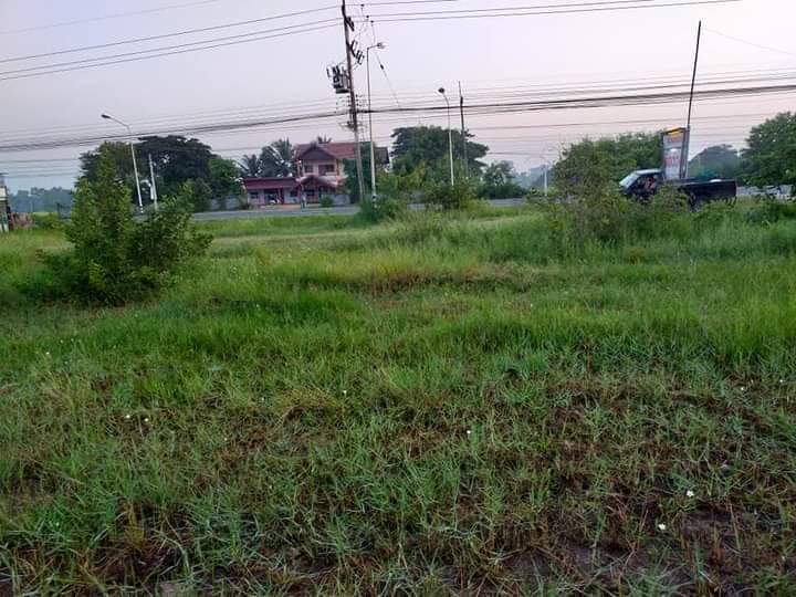 ขายที่ดินเปล่าด่วน ทำเลดีทำเลทอง