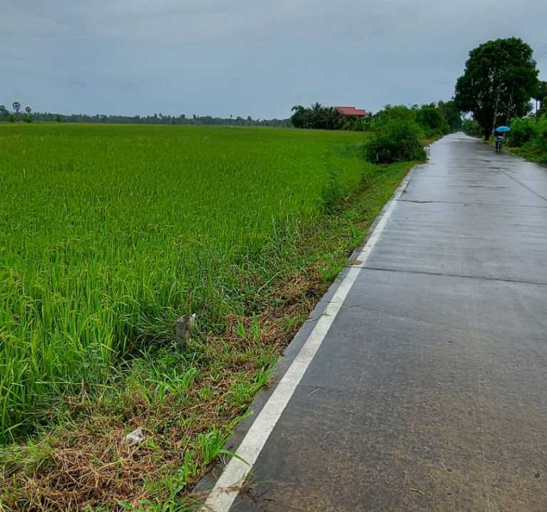 ที่ดินวิวเขา บ้านลาด เพชรบุรี 4-2-4