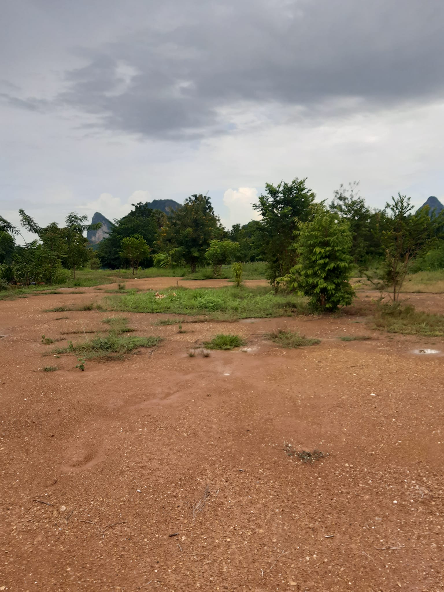 ขายที่ดินเพชรบุรี เขาย้อย 0-3-53.9
