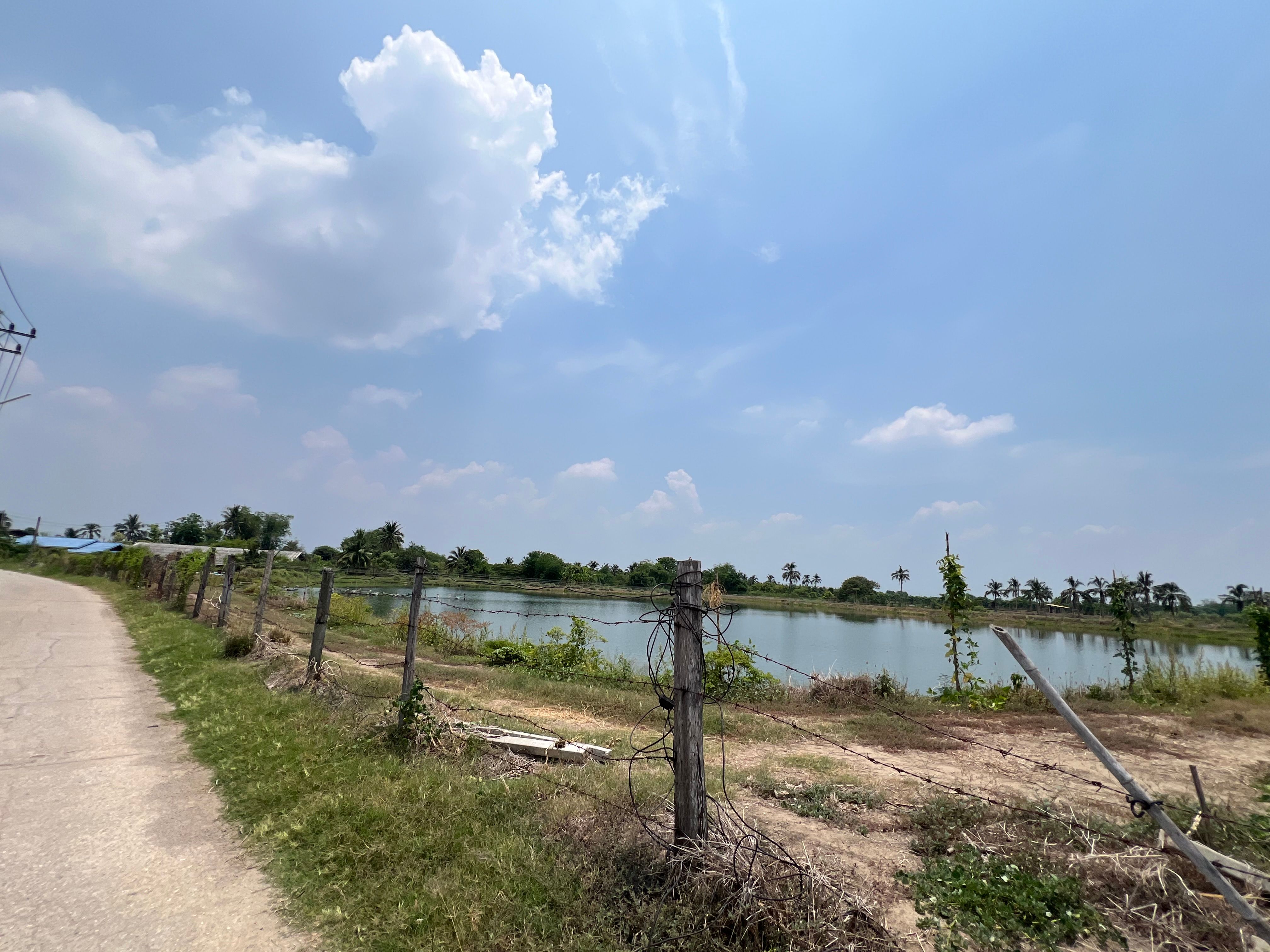 ขายที่ดิน