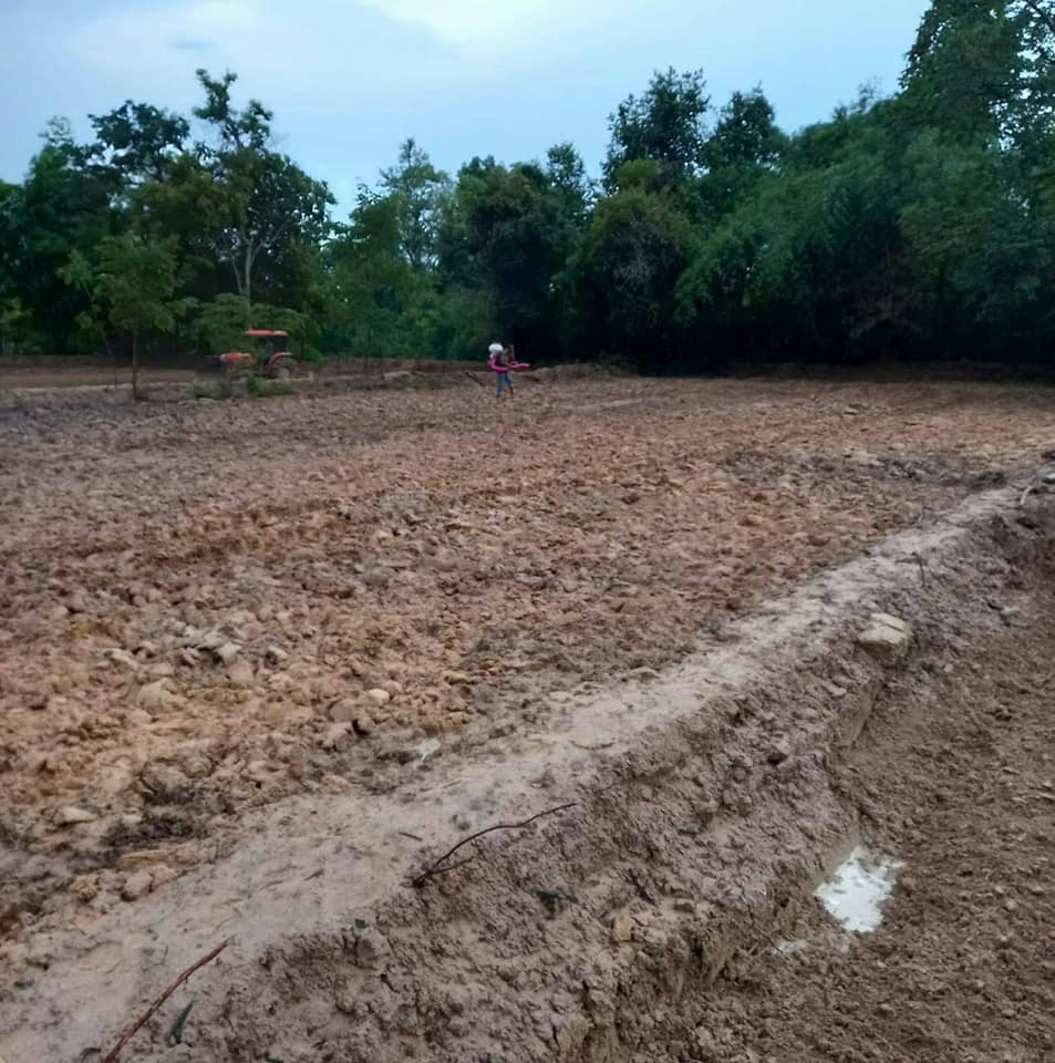 ขายที่ดินอุดรธานี เพ็ญ 9ไร่