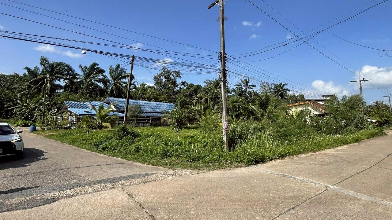ขายที่ดินกระบี่ เขาพนม ในเขตชุมชน