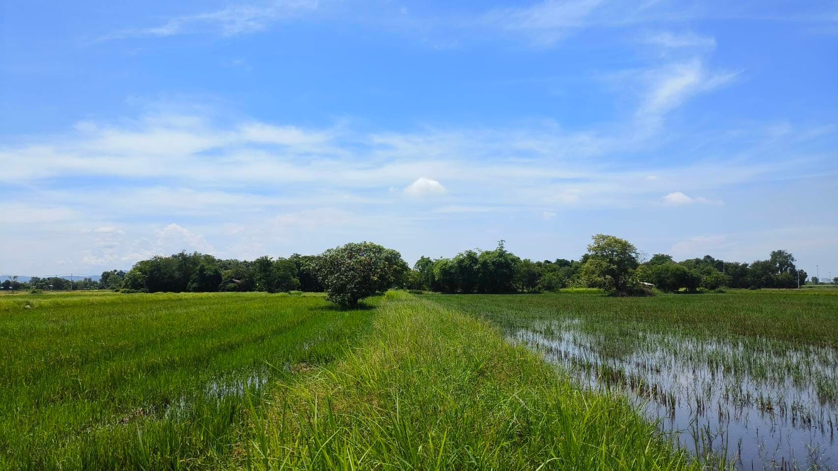 ที่ดินทำเลดี หนองจิก สระบุรี