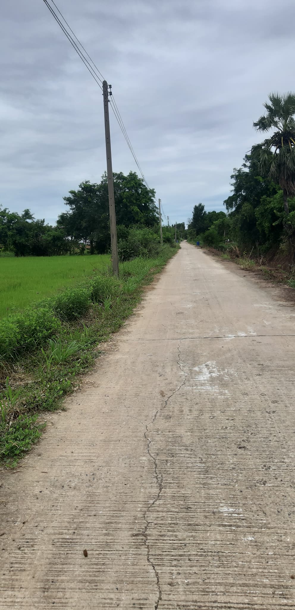 ขายที่ดินสระบุรี หนองแค 7-2-50