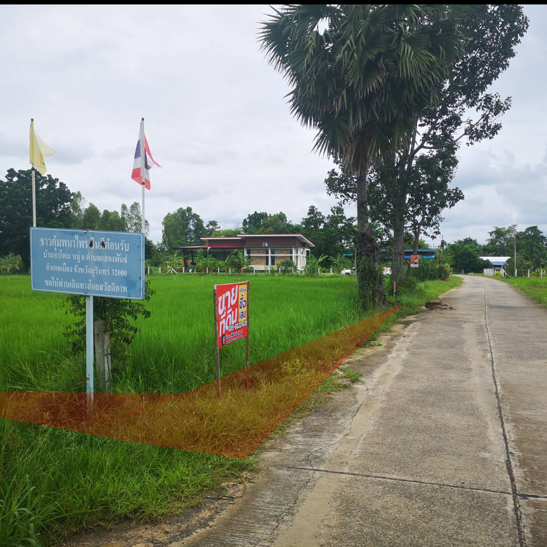 ที่ดินเปล่าที่นา เมืองสุรินทร์ 1-2-0