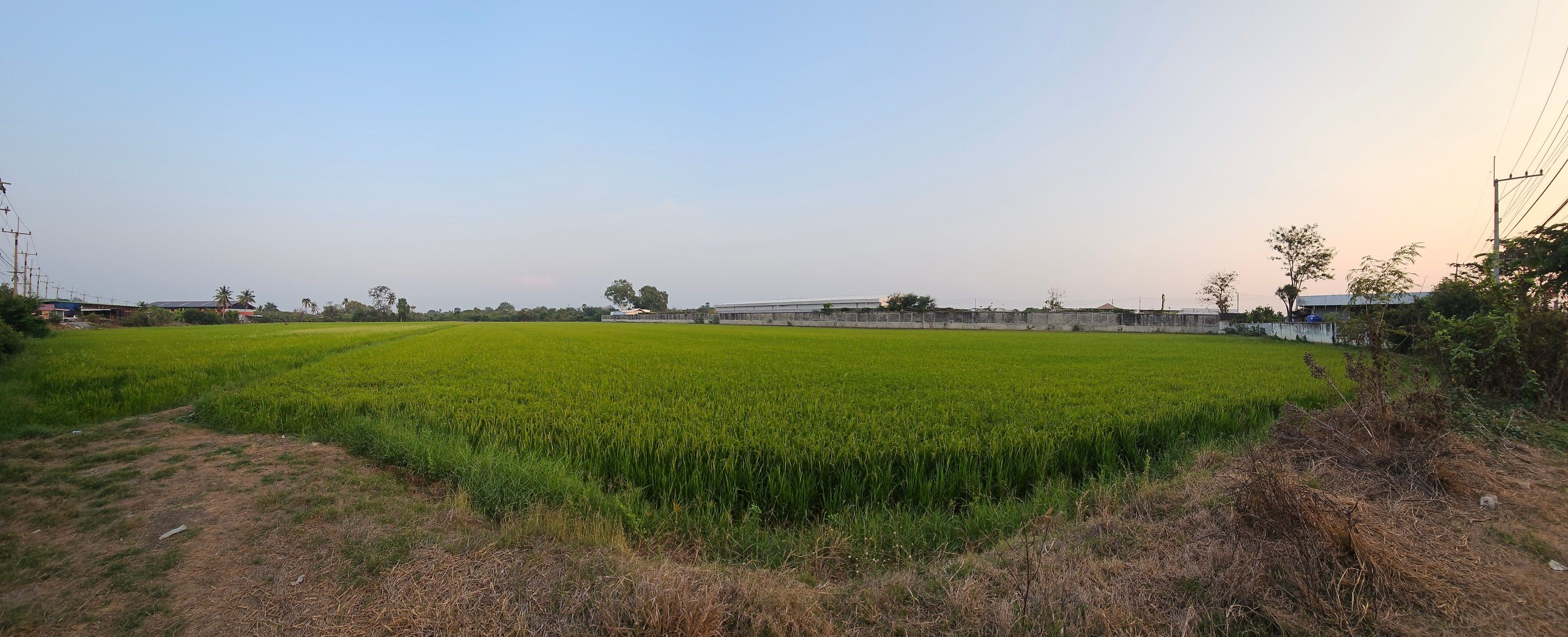 ขายที่ดินสุพรรณบุรี ที่ดินทำเลทอง ฝั่งขาเข้าเมืองเทศบาลอู่ทอง ใกล้แหล่งอำนวยความสะดวก 9-3-41 ไร่.