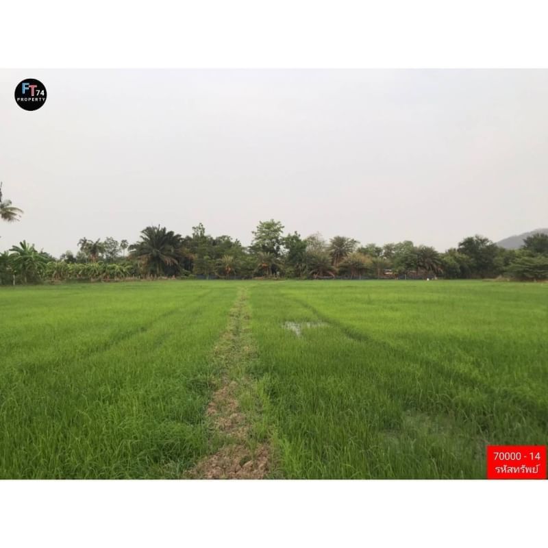 70000-14 ขายที่ดินสวย ล้อมรอบด้วยธรรมชาติ และ ภูเขา 