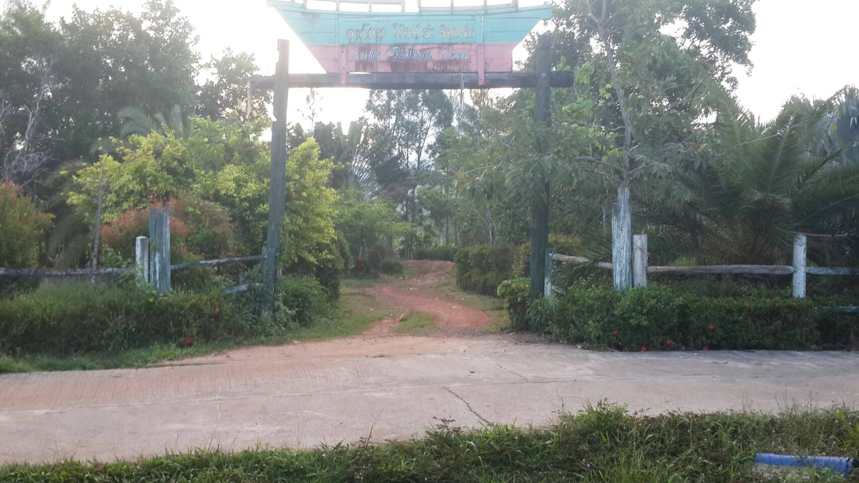ขายที่ดินเกาะช้าง ตราด ที่ดินทำเลสวย บรรยากาศดี 5-1-72.5 ไร่.