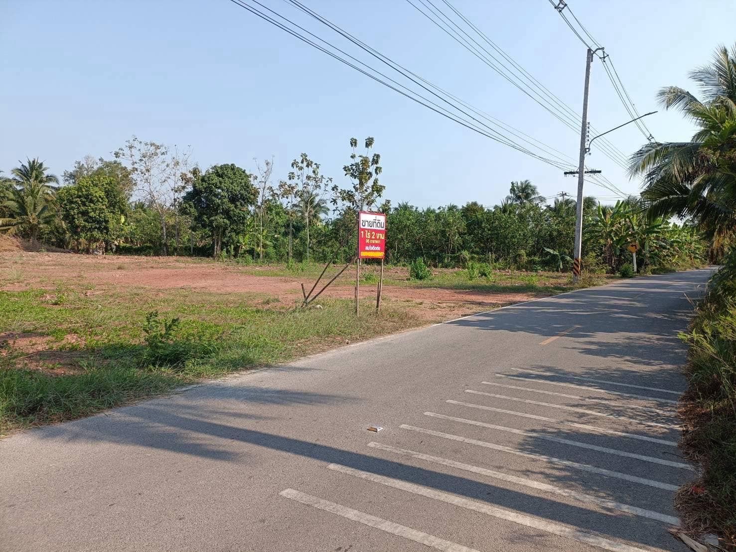 ที่ดินเปล่า อัมพวา บางกุ้ง บางคนที ขนาด 1-2-36 ไร่ ที่ดินถมแล้ว