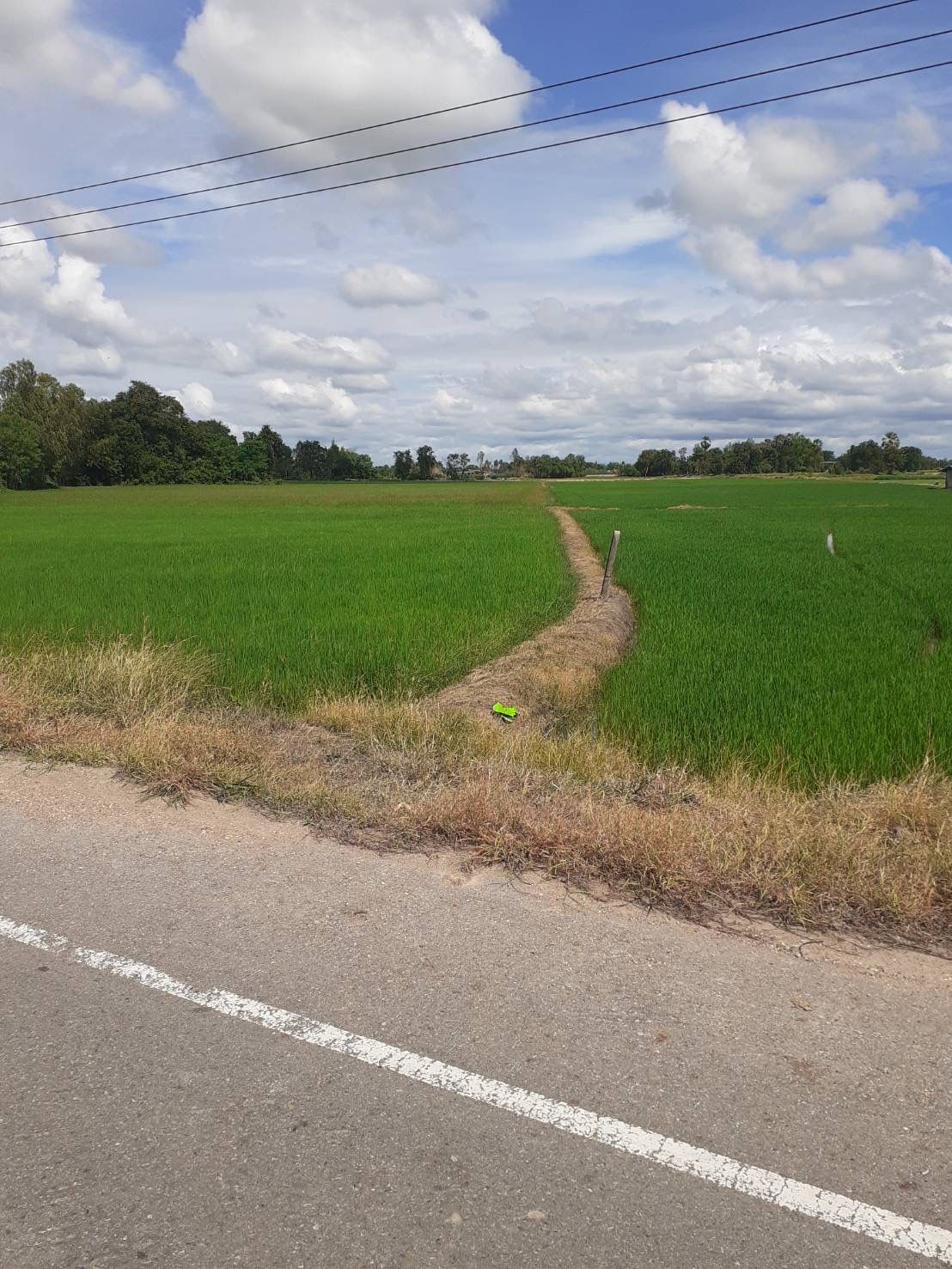 ขายที่ดิน(ที่นา)