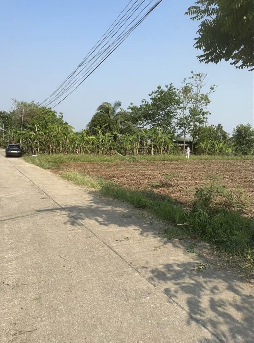 ขายที่ดินเชียงราย ใกล้ตลาดบ้านเด่น อยู่ในชุมชน ทำเลสวย น่าลงทุน แม่จัน เชียงราย 1-0-55 ไร่.