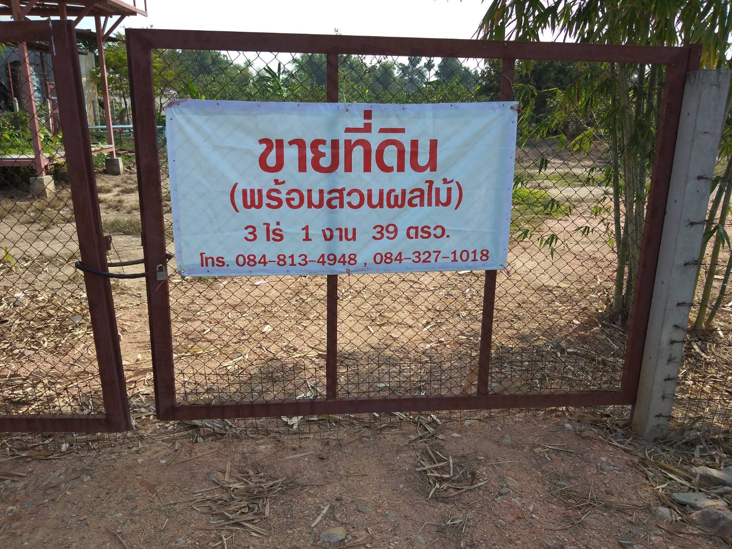 ขายด่วน ที่สวน น้ำไม่ท่วม เหมาะทำสวนหรือทำร้านอาหารริมคลอง  สุพรรณบุรี 3-1-39