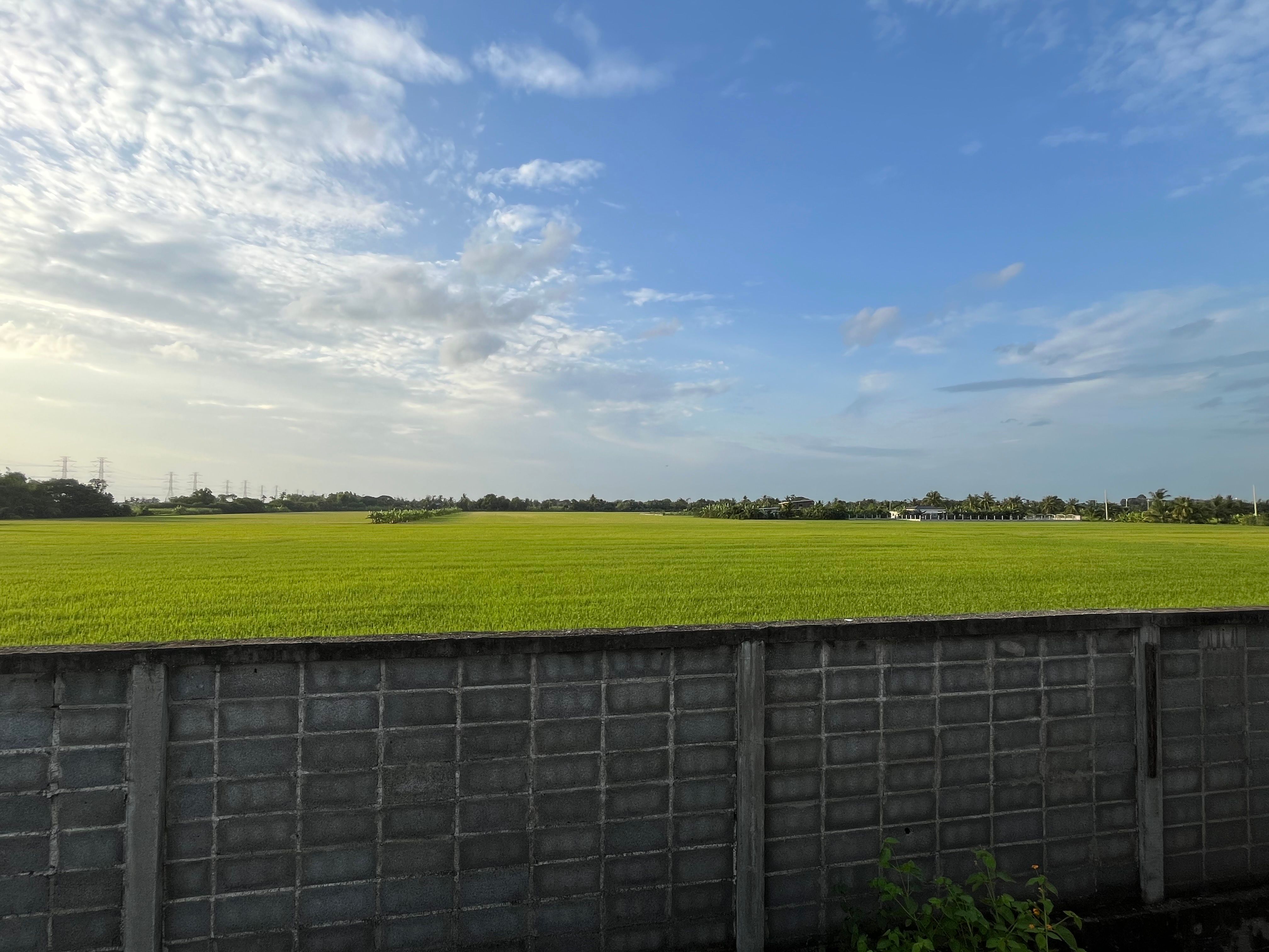 🌿 Land for sale in a fast-developing zone, by owner, title deed ready to transfer, no mortgage