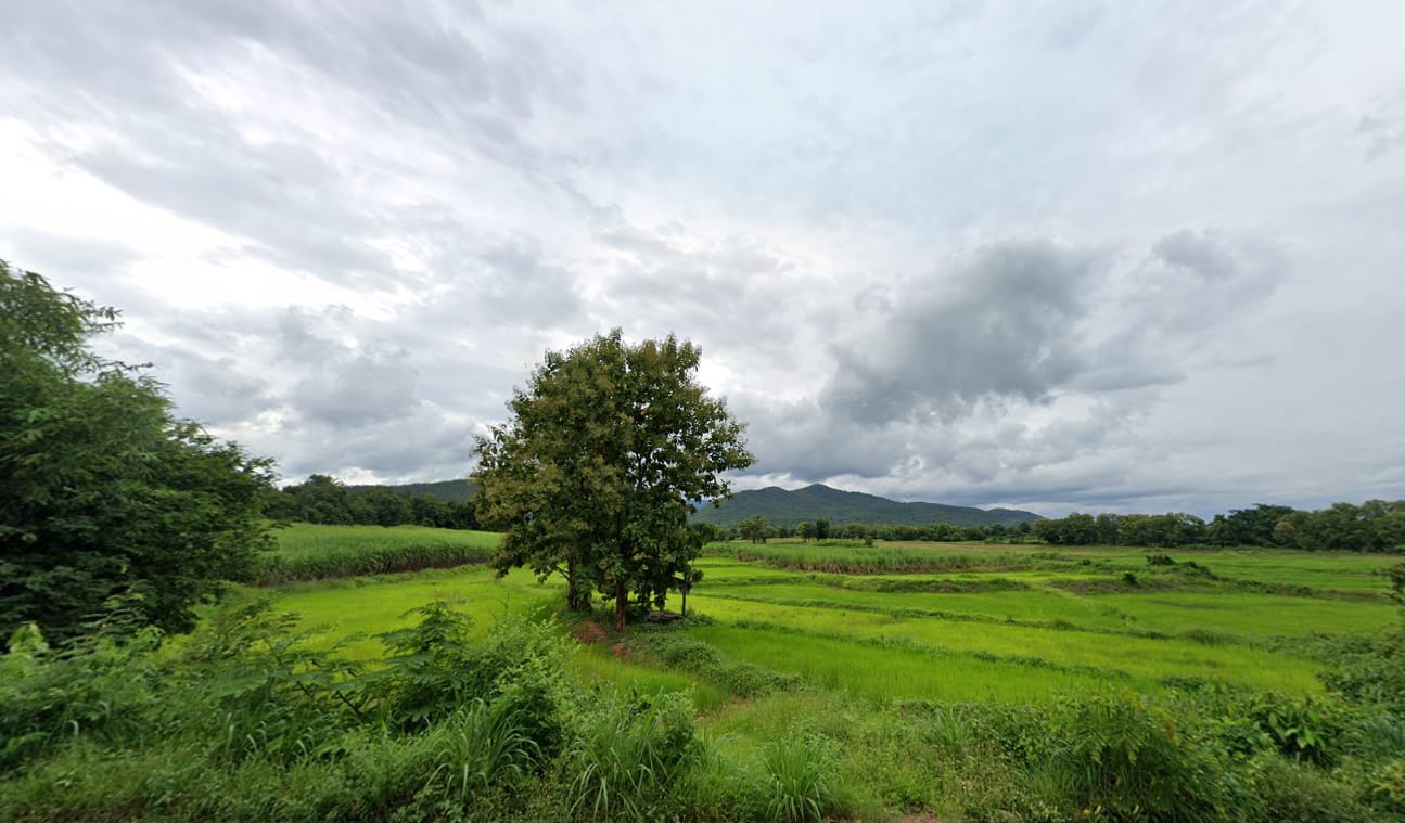ขายที่ดินวิวสวยบรรยากาศดี หน้าติดถนนลาดยาง อุตรดิตถ์ 21-3-26