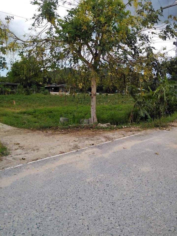 ขายที่ดิน บ้านบึง ชลบุรี 2 งาน