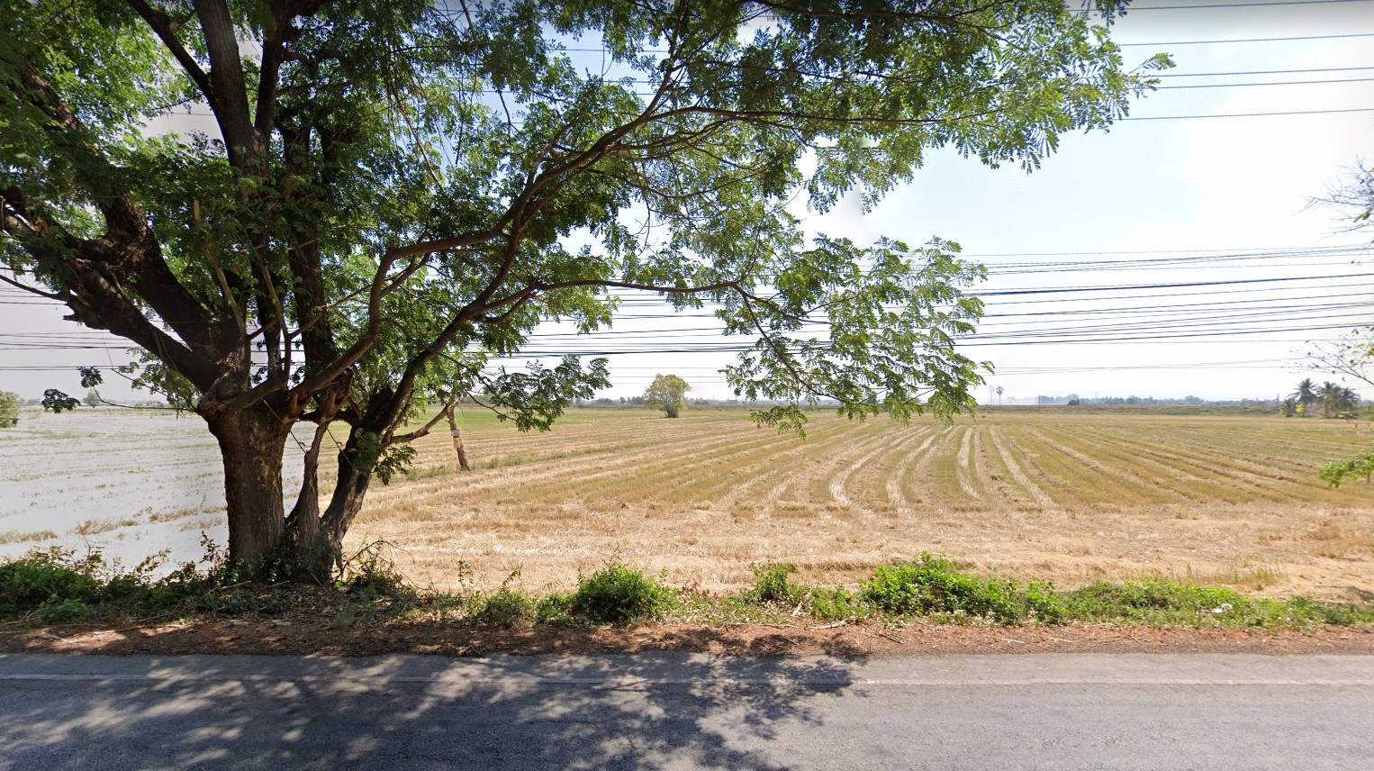ที่ดินเปล่า ที่นา เมืองพิษณุโลก 5-0-0