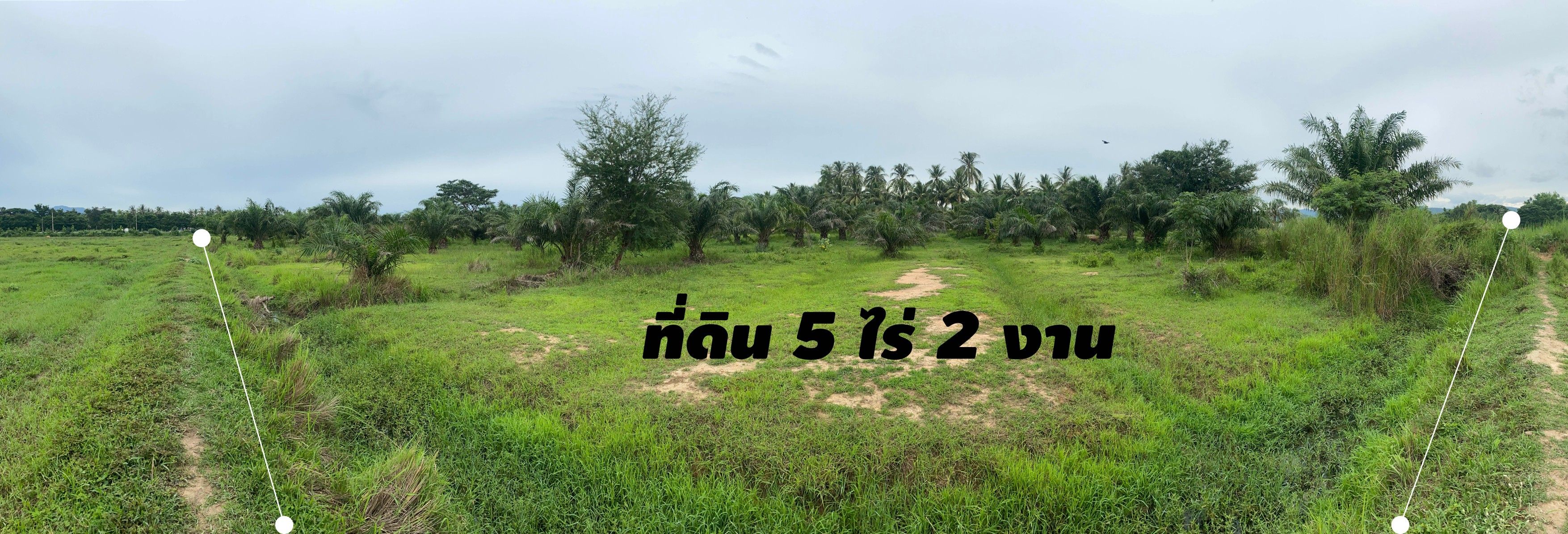 ขายที่ดินประจวบคีรีขันธ์ แปลงสวย บรรยากาศดี ใกล้ชุมชน กุยบุรี ประจวบฯ 5-2-52.3 ไร่.