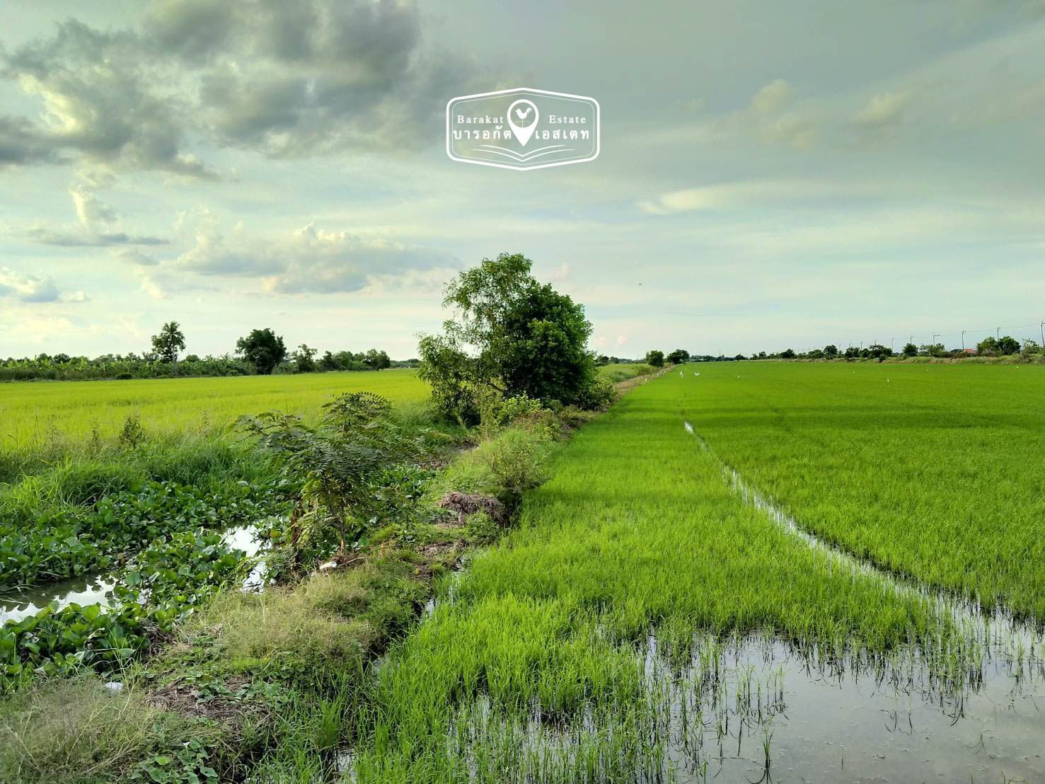แปลงสวยติดถนนใหญ่ ราคาสุดพิเศษ เขตหนองจอก จังหวัดกรุงเทพฯ