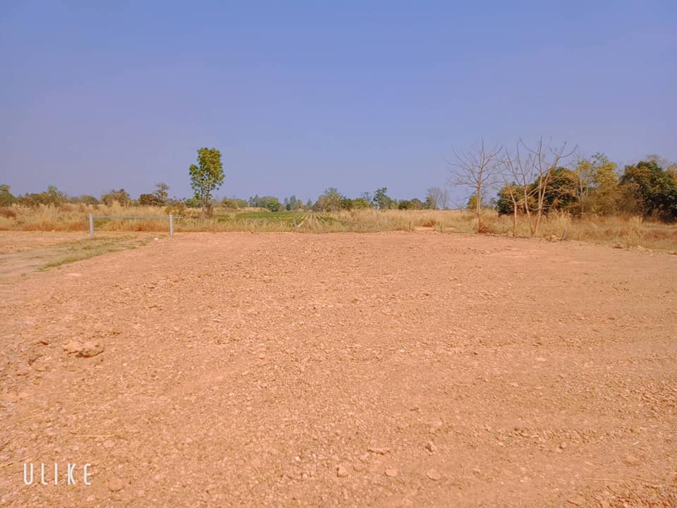 ที่ดินแบ่งขาย 5 ไร่ หนองหาน อุดรธานี 