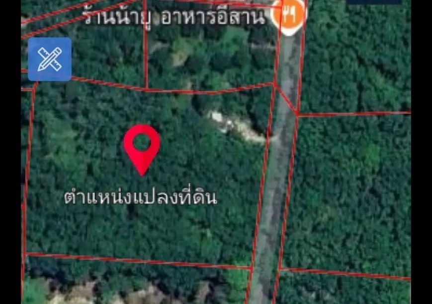 ที่ดินติดถนน สวนยางพร้อมกรีด นครศรีธรรมราช
