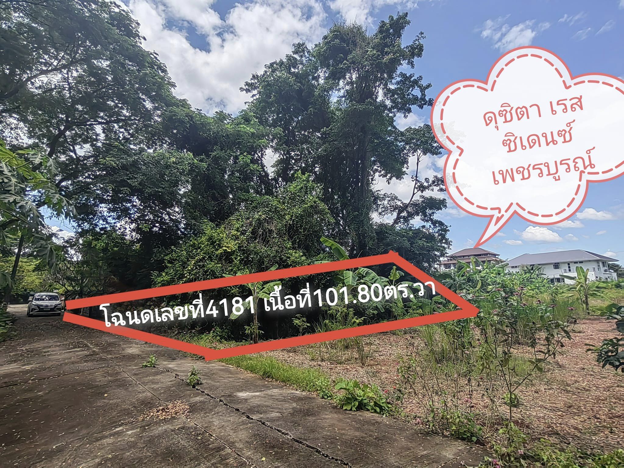 ขายที่ดิน เพชรบูรณ์ 101.8 ตรว.