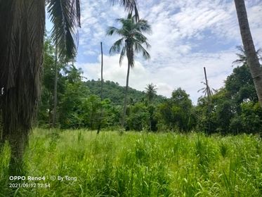 ที่ดินใกล้ภูเขา ติดกับวัดป่าวชิรบรรพต วิวดี ชลบุรี 5 ไร่