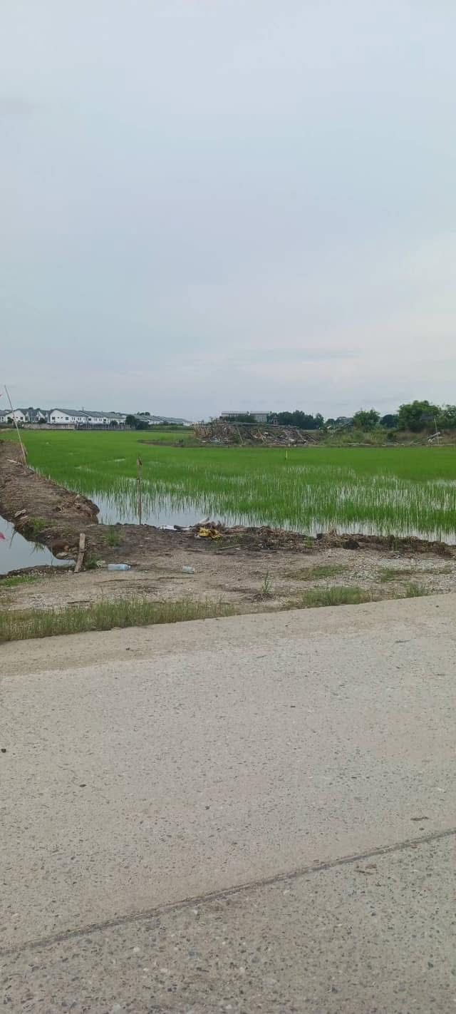 ที่ดินเปล่าสวยๆ