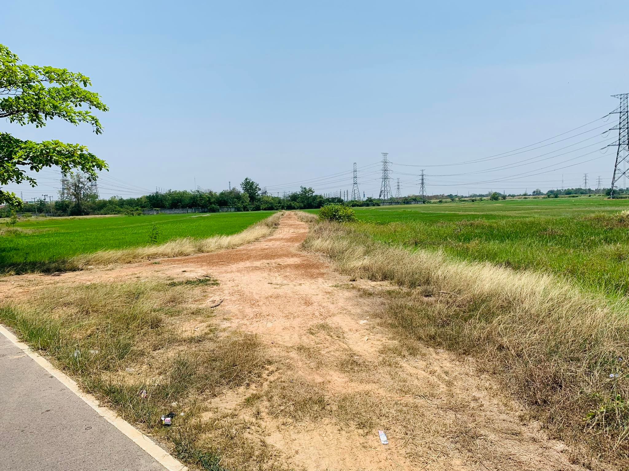 ที่ดินเปล่าติดถนนดำ อ.เมือง จ.ราชบุรี 8-0-7.8ไร่