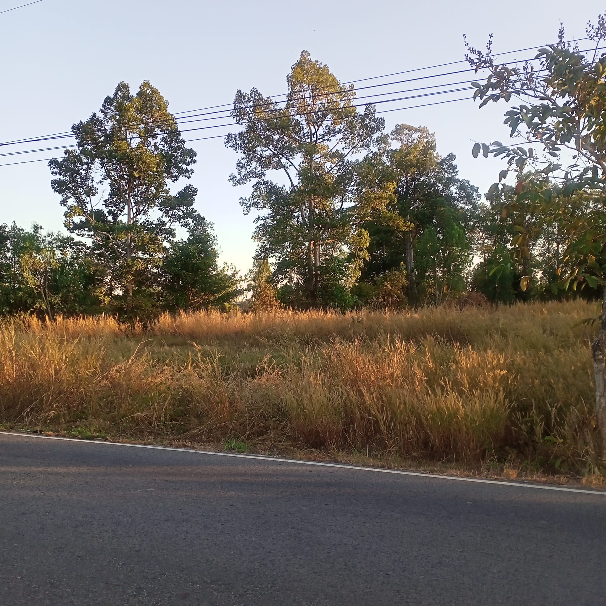 ขายที่ดิน ร้อยเอ็ด 4-1-40 ไร่ 