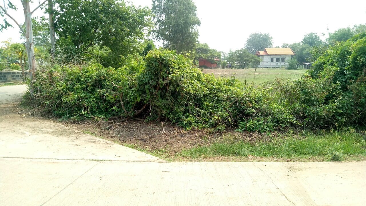 บ้านพร้อมที่ดิน 1-2-70 ไร่ 
