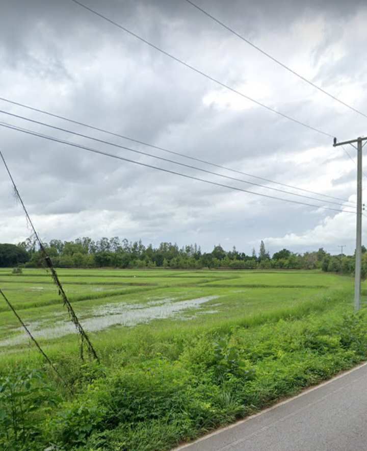 ที่นาติดถนนหนองโสมง ทำเลใกล้เมือง น้ำไฟเข้าถึงพร้อมมาก