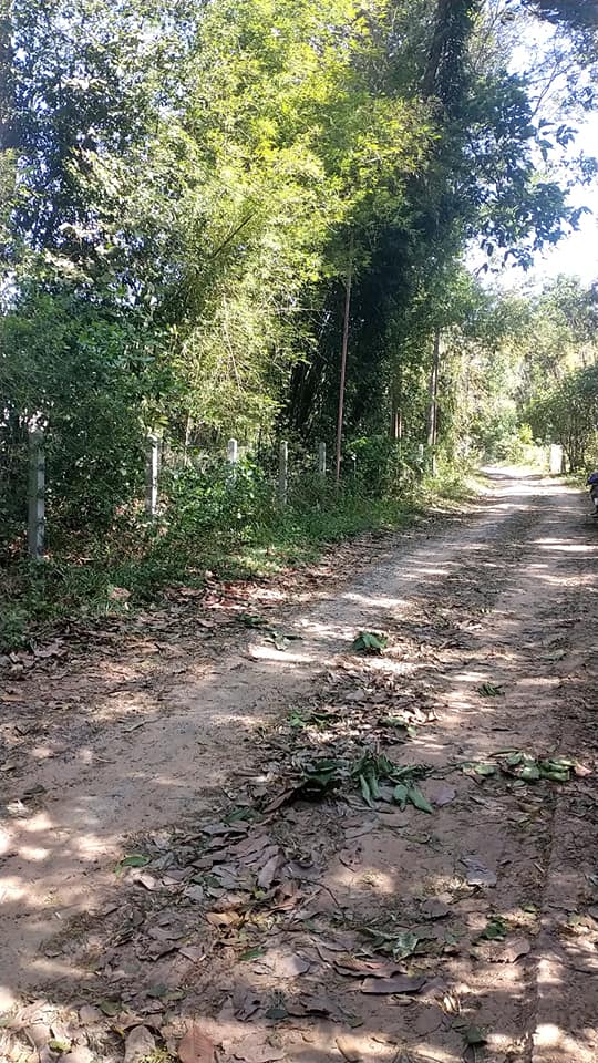 ขายที่ดิน อุบลราชธานี 2-2-29 ไร่