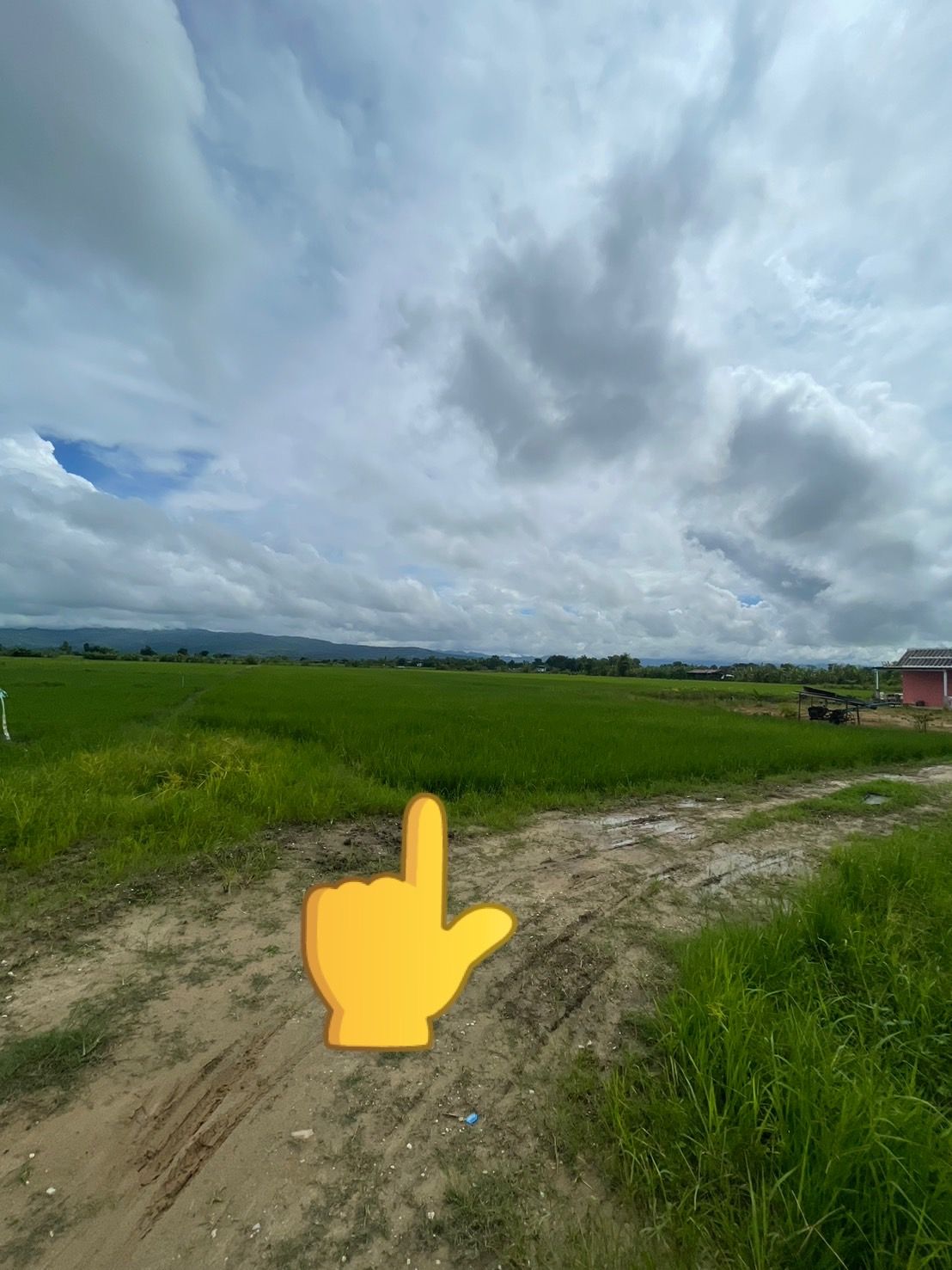 ขายที่ดินแม่สาย