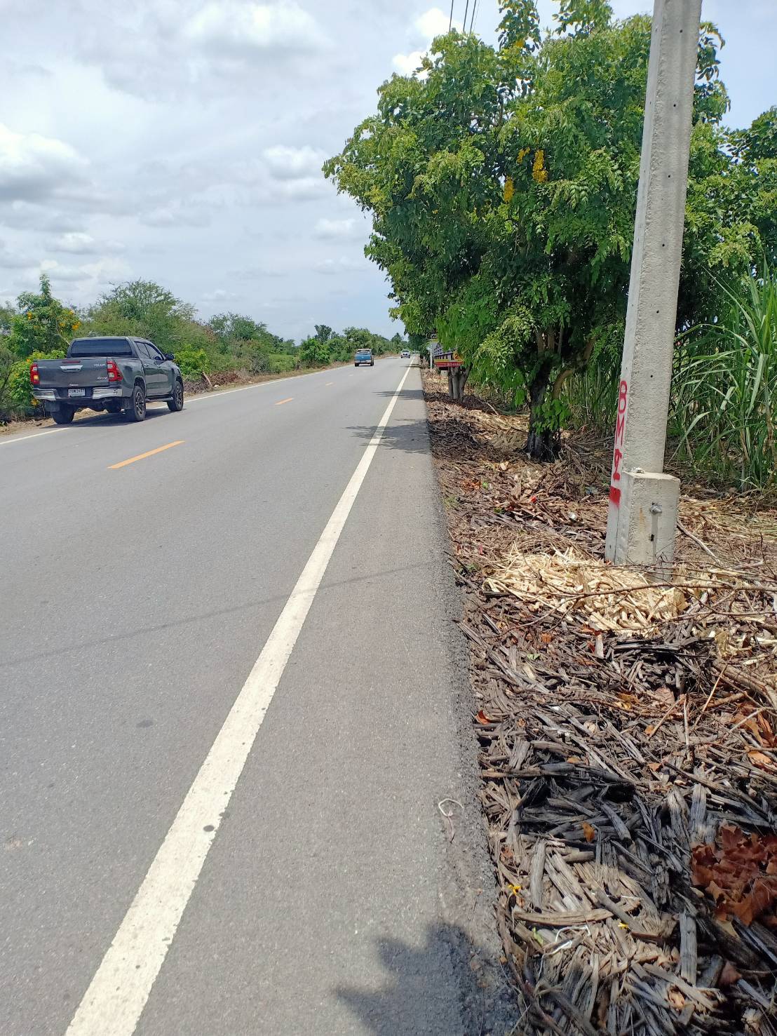 ขายที่ดิน ที่นาแปลงใหญ่ เมืองนครปฐม 154-3-5