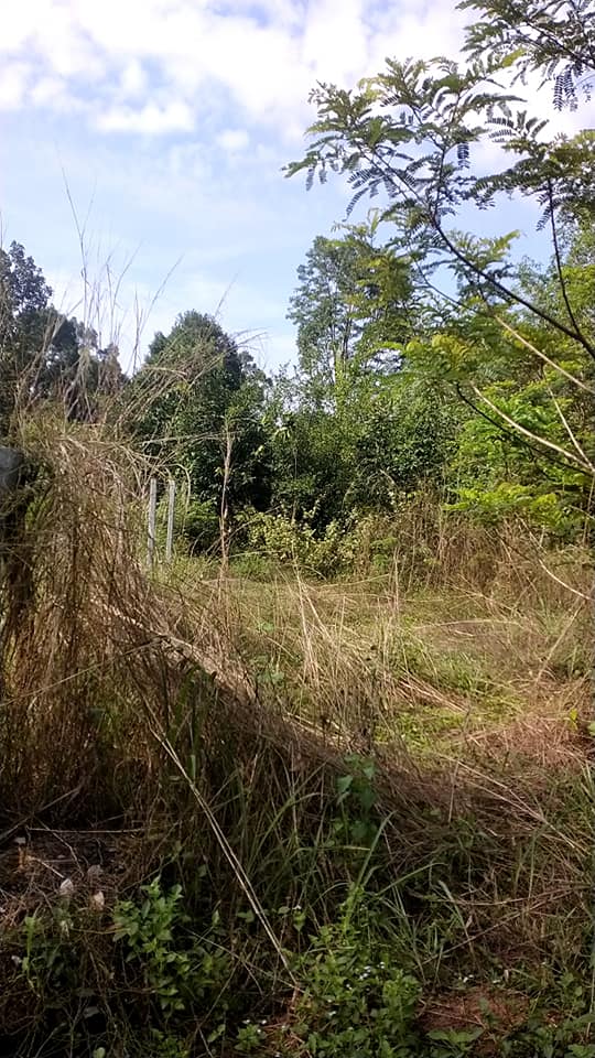 ที่ดินเหมาะทำบ้านสวน อุบลราชธานี 1-3-24 ไร่