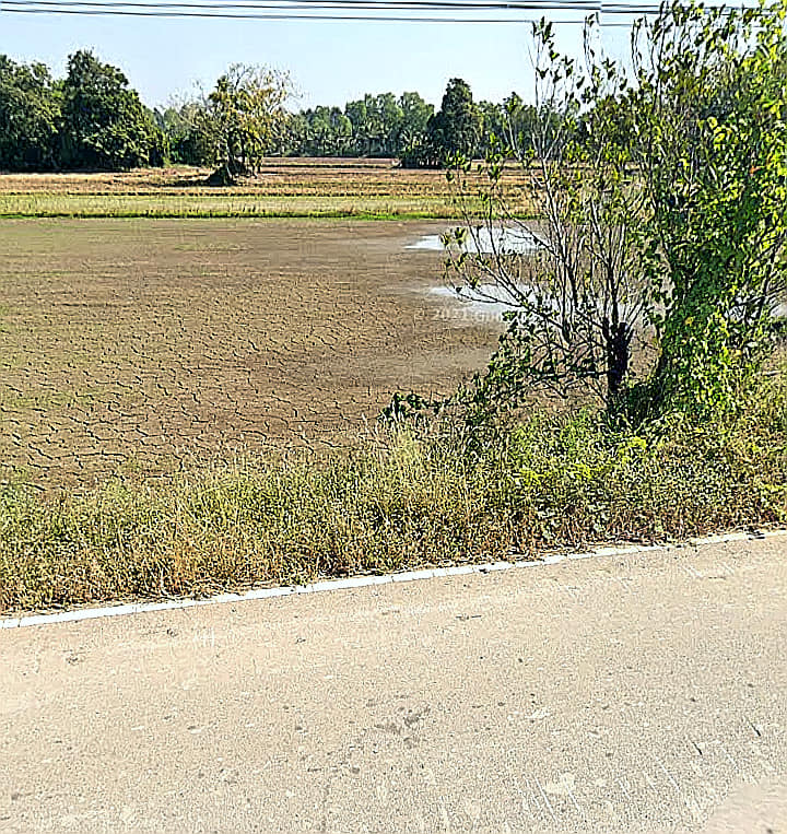 ที่นาแปลงสวย อุตรดิตถ์ 10-1-53