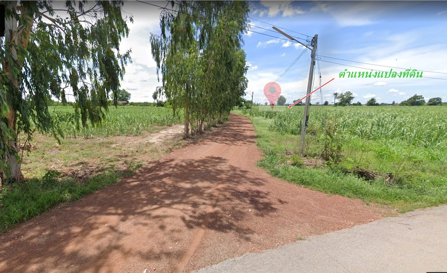 ขายที่ดิน ไร่อ้อย บางระกำ(น้ำไม่ท่วม)