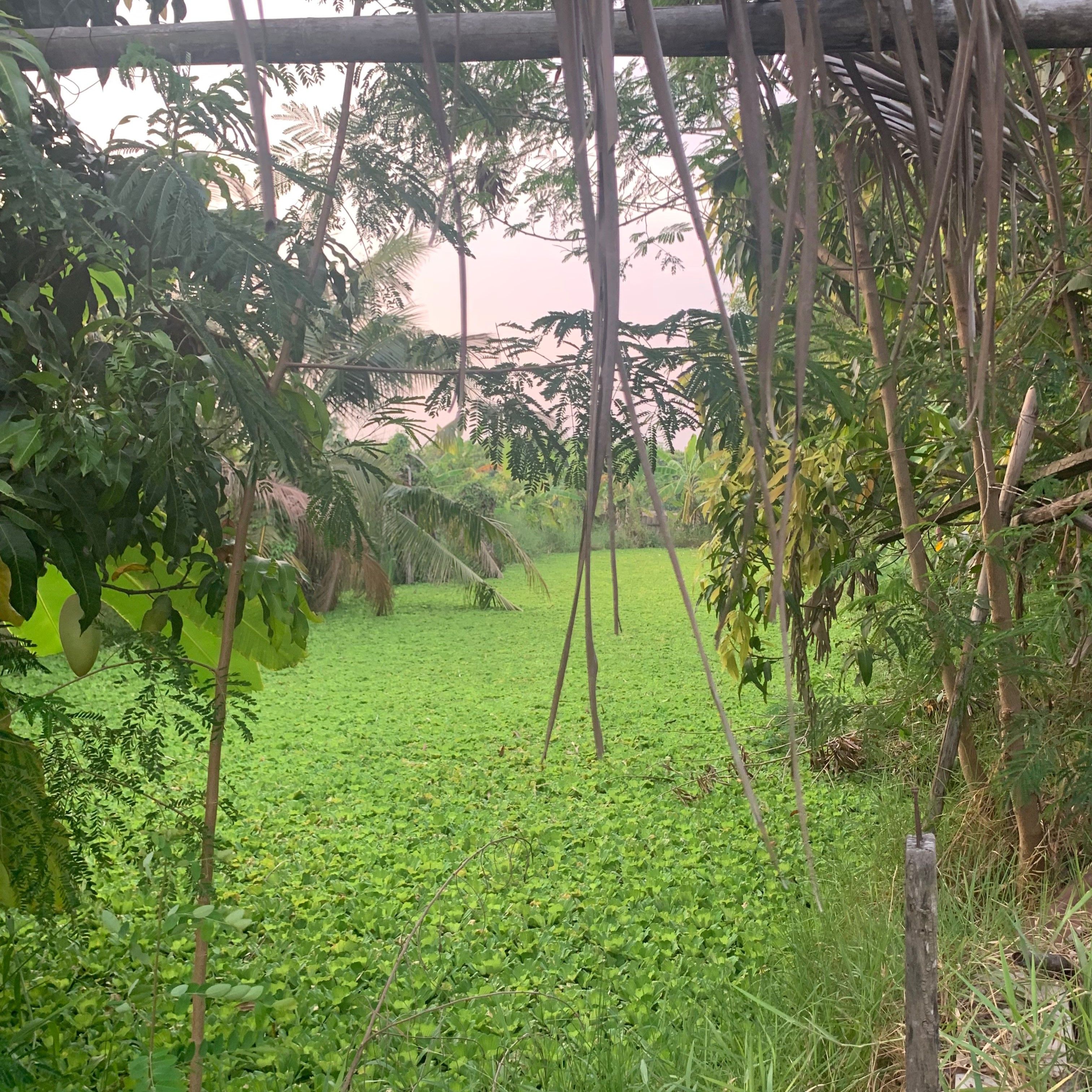 ที่ดินบ้านสวน