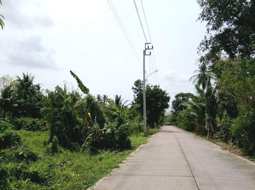 ขายที่ดินแบ่งแปลงเล็ก เมืองนนท์ 150 ตร.วา เหมาะสร้างบ้าน อากาศดี