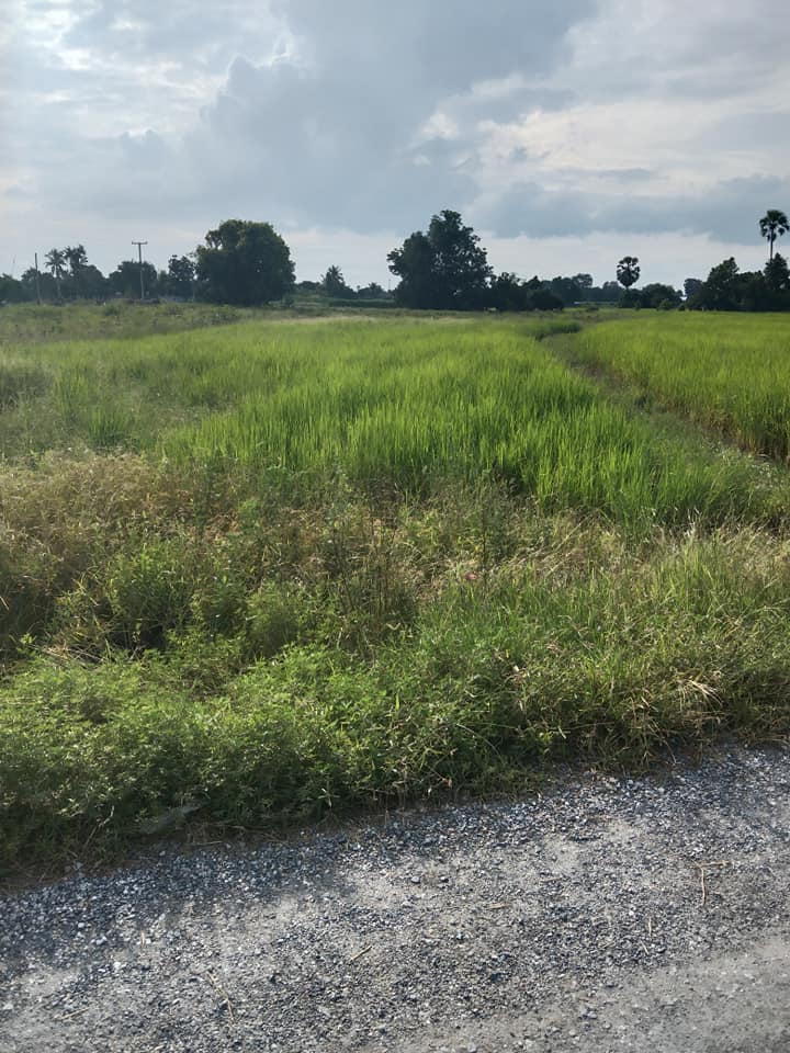 ที่ดินเปล่า สุพรรบุรี 5-1-38