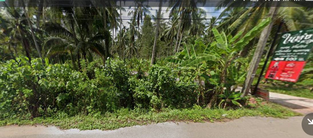 ขายที่ดิน สุราษฎร์ธานี 302 ตรว.