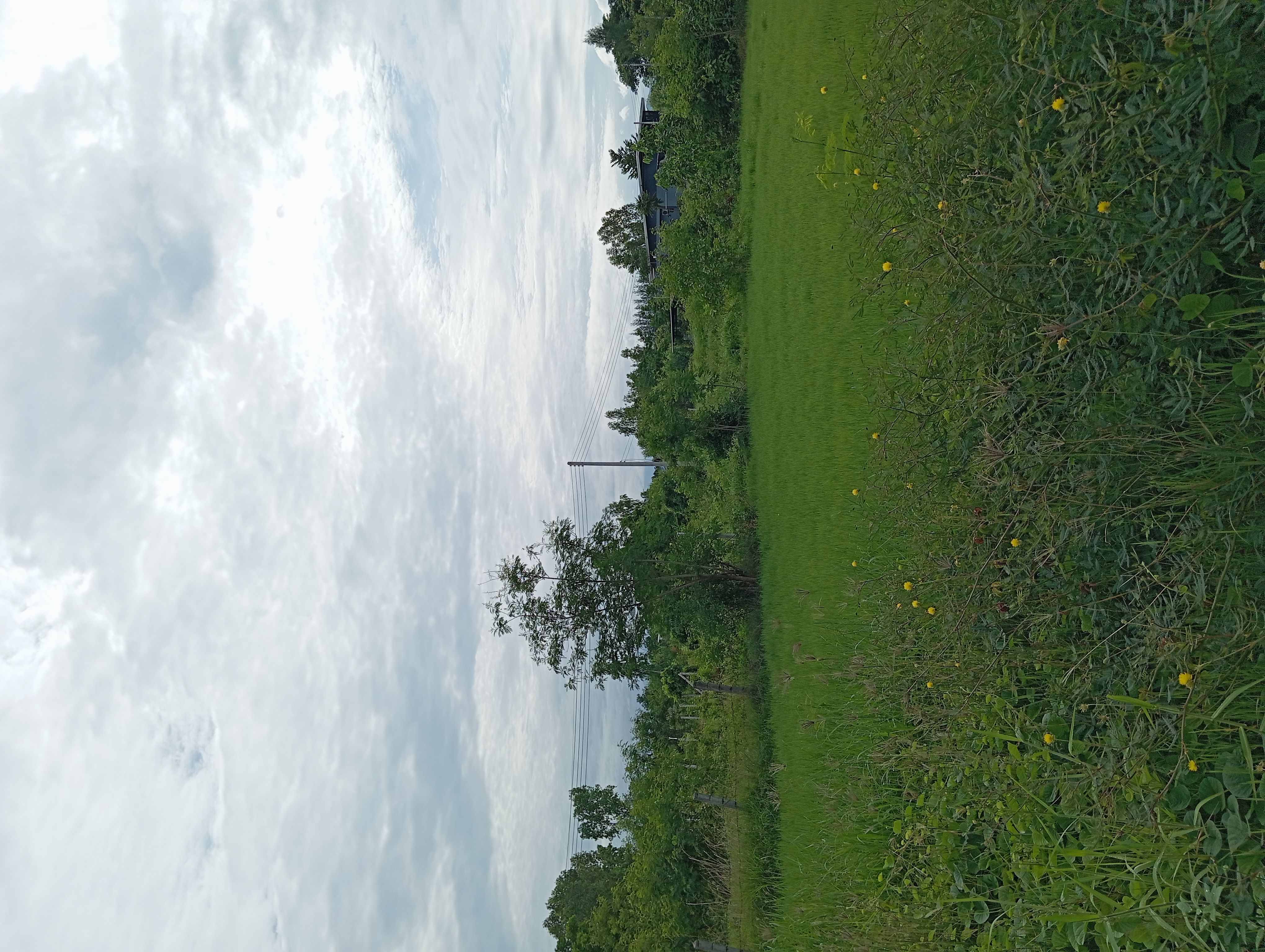ขายด่วน ที่ดิน บ้านธิ ลำพูน
