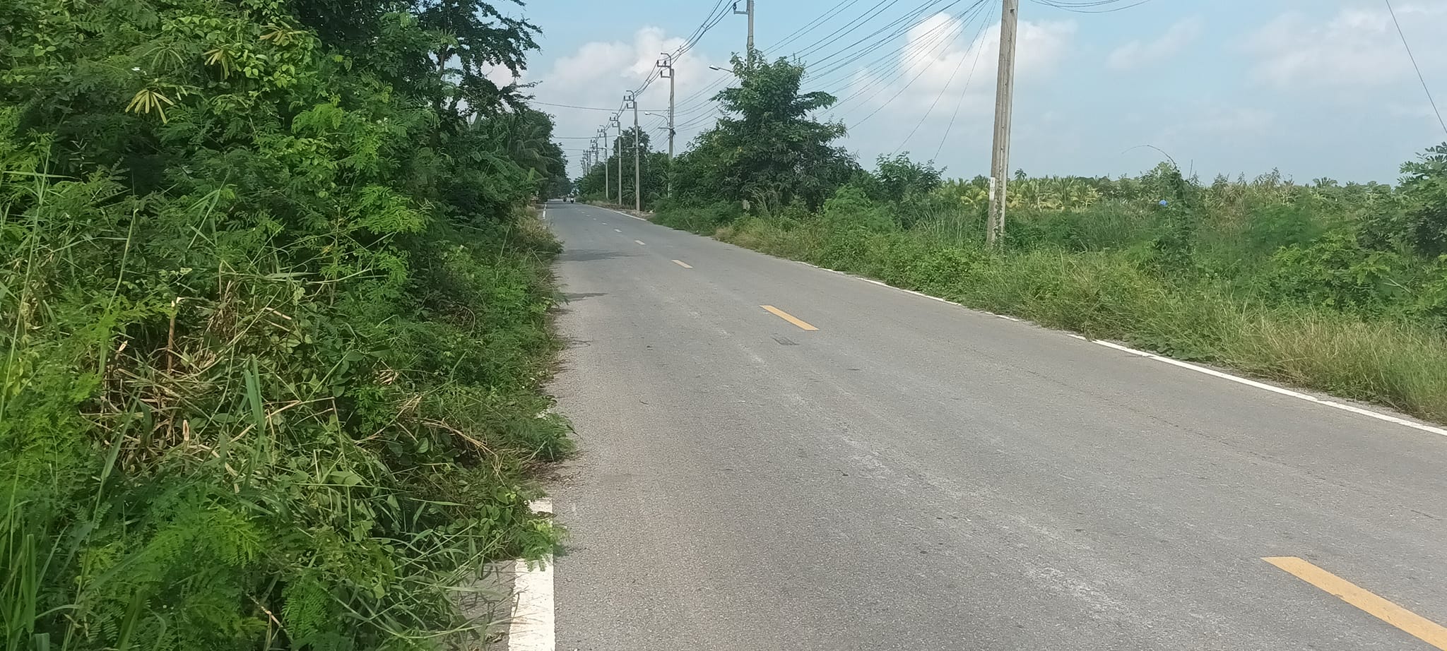 ขายที่ดินนนทบุรี ไทรน้อย 3-3-56