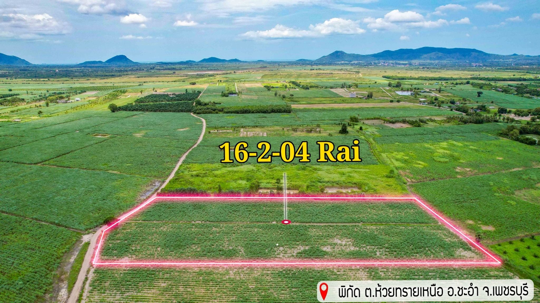 ขายด่วน