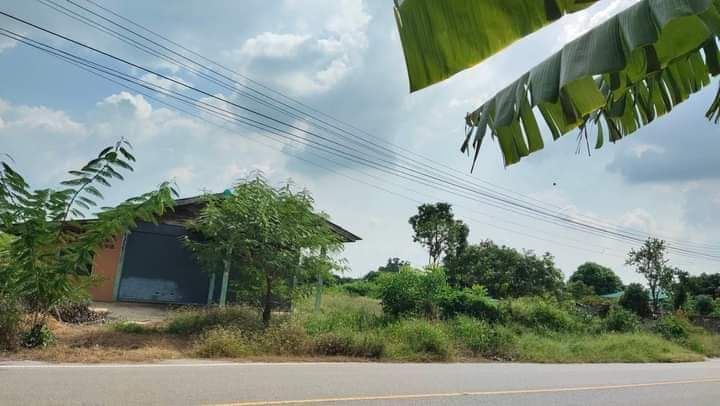 ขายที่ดินอ่างทอง อำเภอแสวงหา ที่ดินแปลงใหญ่ ติดถนน
