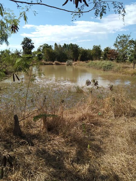 บ้านพร้อมที่ 2.5 ไร่ อู่ทอง สุพรรณบุรี 