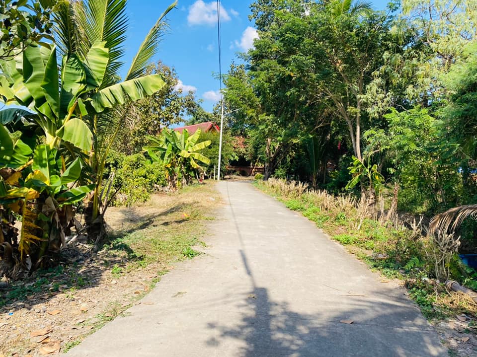 ที่ดินแบ่งขาย แปลง 5-8 มีหลายเนื้อที่ และ ราคา ลำพูน